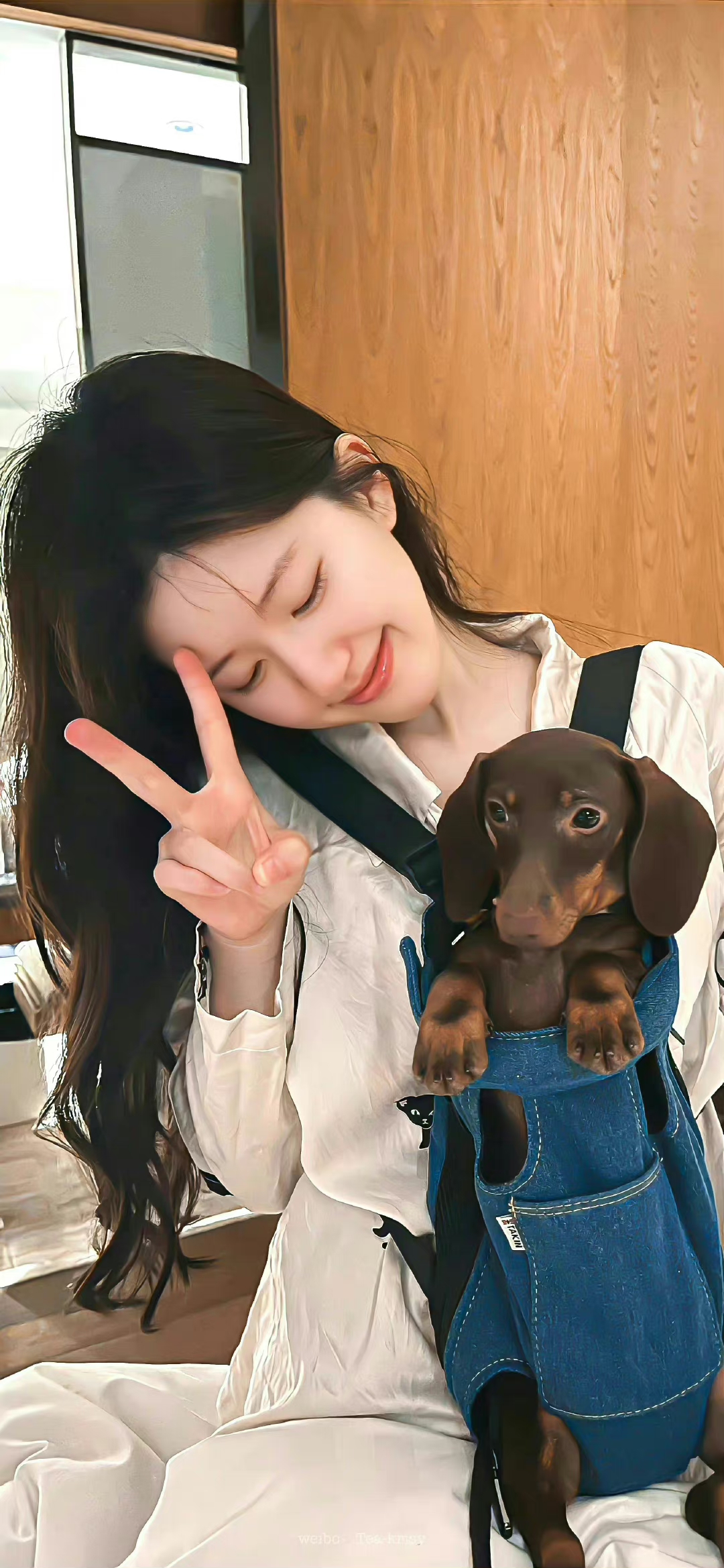 美女壁纸女_美女壁纸手机壁纸