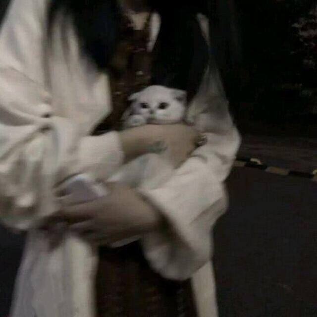 美女壁纸手机壁纸_美女壁纸电脑壁纸高清