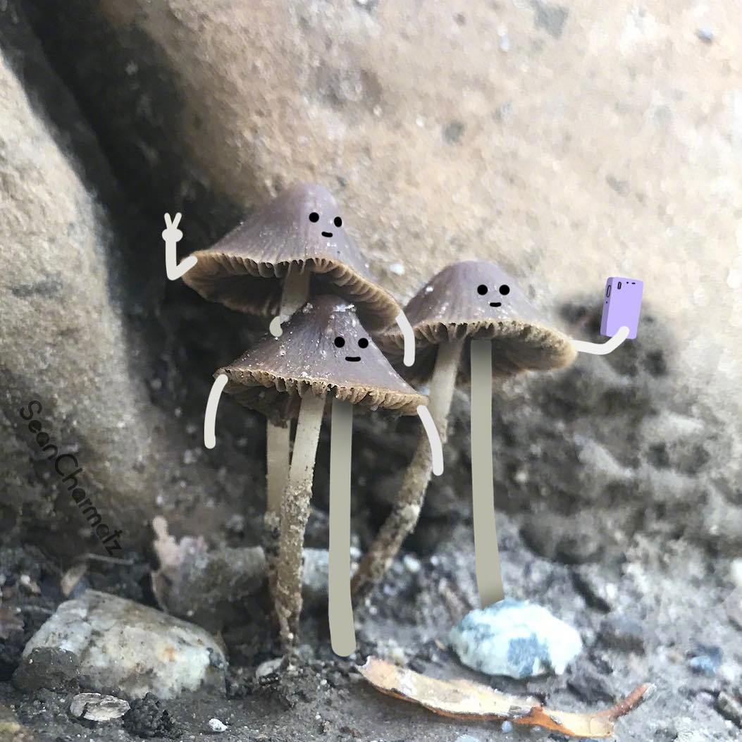 美女头像_美女照片头像真人图片
